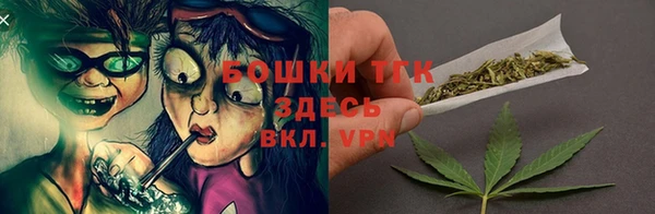 хмурый Корсаков