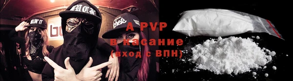 хмурый Корсаков