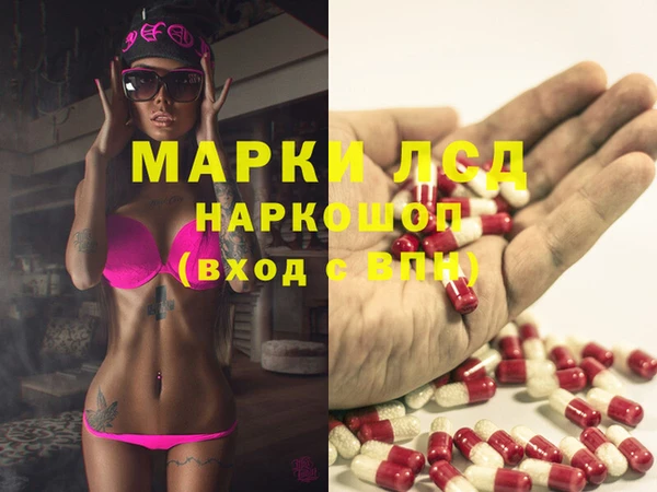 хмурый Корсаков