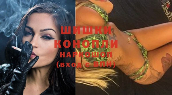 хмурый Корсаков
