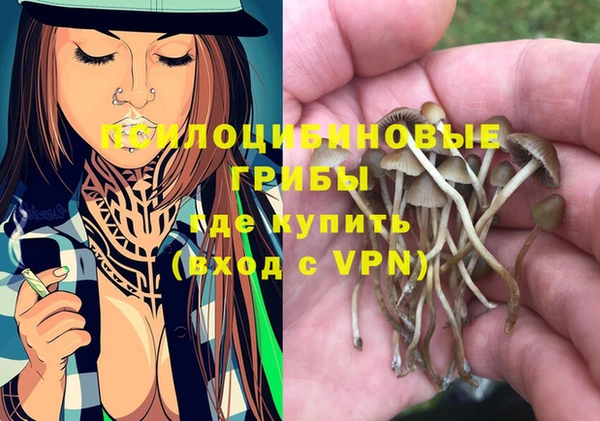 сатива Тутаев